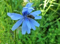 DSCF3888 (2).webp