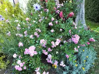 DSCF3901 (2).webp