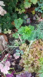 20200710_112309.webp 20200710_112309.webp