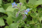 DSC00158.JPG