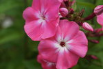 DSC00160.JPG