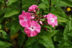 DSC00159.JPG