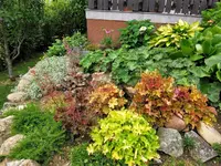 IMG_20200708_194717.jpg