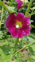 20200704_125927.webp
