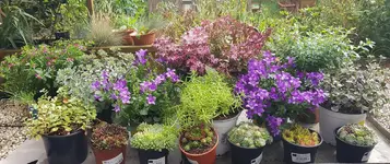 20200710_163409.webp 20200710_163409.webp