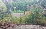 20200710_165607.jpg