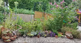 20200710_184452.webp 20200710_184452.webp