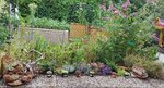 20200710_184452.jpg