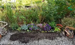 20200710_193042.webp 20200710_193042.webp