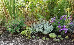 20200710_193459.webp 20200710_193459.webp