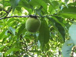 BILD1758.JPG