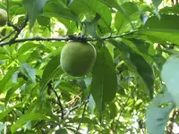 BILD1758.webp