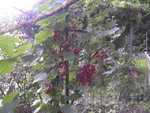 BILD1747.JPG