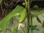 BILD1838.JPG