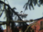 BILD1812.JPG