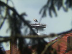 BILD1813.JPG