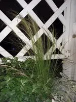20200711_002140.webp