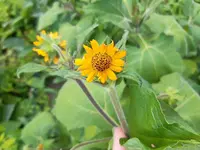 20200706_163143.webp