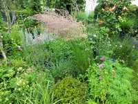 DSCF3911 (2).webp
