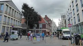 P1010227.JPG