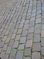 P1010228.JPG