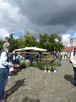 P1010236.JPG