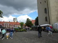 P1010239.JPG