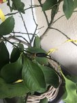 IMG_9113.JPEG