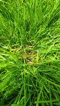 IMG_20200711_122538_copy_1134x2016.jpg