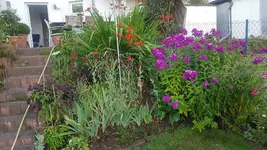 20200702_195001.webp