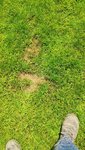 IMG_20200711_135304_copy_1134x2016.jpg