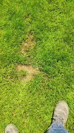 IMG_20200711_135304_copy_1134x2016.jpg