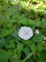 20200711_120907.webp