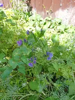 20200711_120909.webp