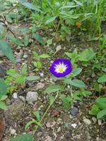20200711_120720.webp