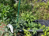 20200711_163341.webp 20200711_163341.webp