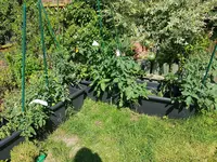 20200711_163352.webp 20200711_163352.webp