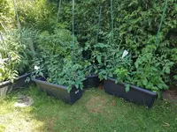 20200711_163410.webp 20200711_163410.webp