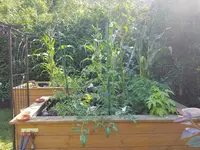 20200711_163430.webp 20200711_163430.webp