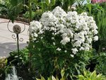 IMG_20200711_093737.jpg