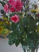 DSCN2963.webp