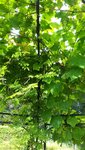 20200711_180304.jpg