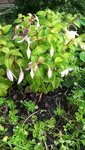 20200711_181029.jpg