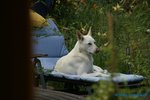 comp_DSC09161.jpg