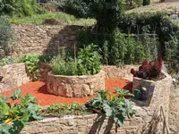 IMG_20200704_112656Gemüse2.webp