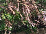 IMG_20200616_083022.jpg