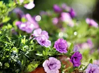 image002.webp