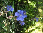 BILD1740.JPG