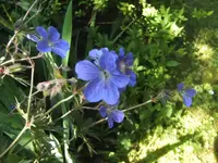 BILD1740.webp