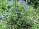 BILD1742.JPG